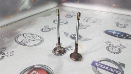 Клапан выпускной Great Wall Poer GW4C20B 2023 (б/у)