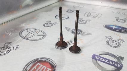 Клапан впускной Nissan Bluebird ENU14 SR18DE 1998 (б/у)