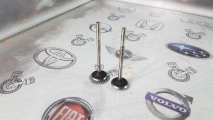 Клапан впускной Volkswagen Touareg CR7 BKS 2008 (б/у)