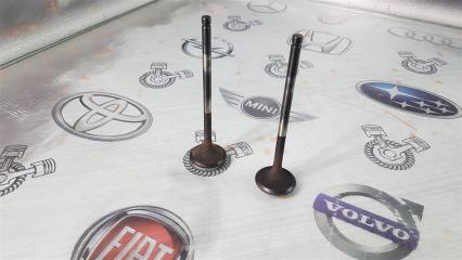 Клапан выпускной Ford Focus CB4 QQDB 2005 (б/у)