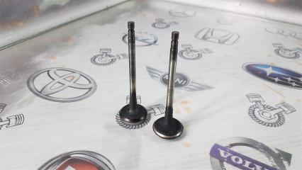 Клапан выпускной Nissan Teana J31 VQ25DE 2005 (б/у)