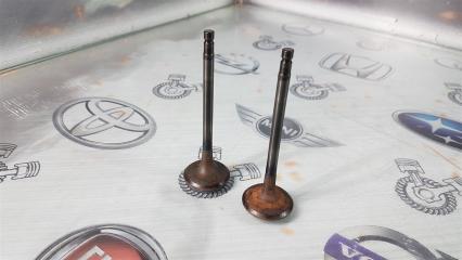 Клапан выпускной Infiniti FX37 S51 VQ37VHR 2010 (б/у)