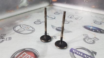 Клапан впускной Infiniti FX37 S51 VQ37VHR 2010 (б/у)