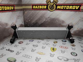 Интеркулер Tank 300 E20CB (б/у)